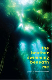 Brent Goodman - The Brother Swimming Beneath Me