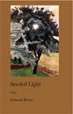 Seeded Light by Edward Byrne