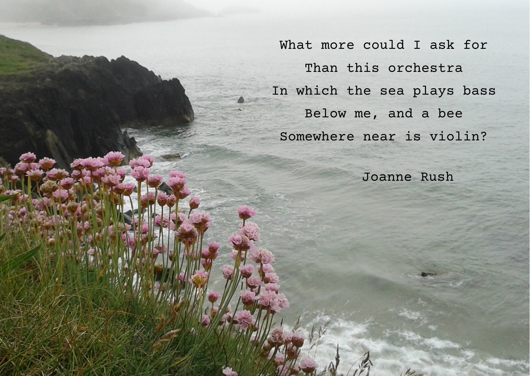 Orchestra by Joanne Rush, picture of a bluff overlooking the sea with flowers in the foreground, poem text on the image